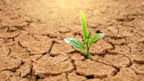 From Scarcity to Abundance The Spiritual Truth Behind Fear of Giving