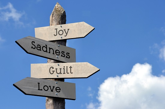 How Perception of Harm Influences Guilt
