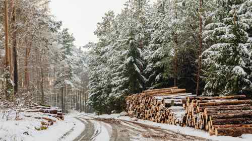 When the Holidays Stir Old Emotions Simple Reminders for the New Year