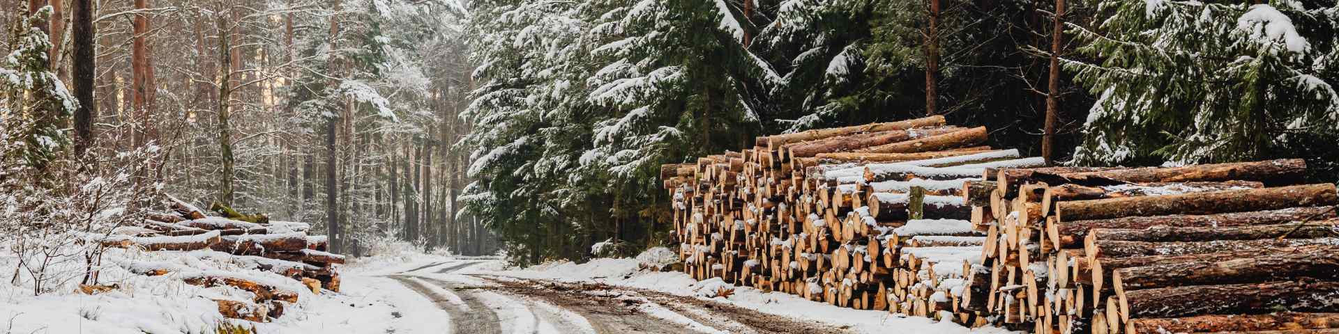 holiday and old wounds